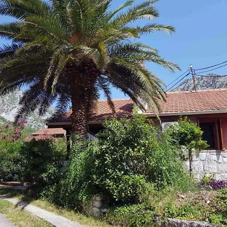 Villa Palma 科托尔 外观 照片
