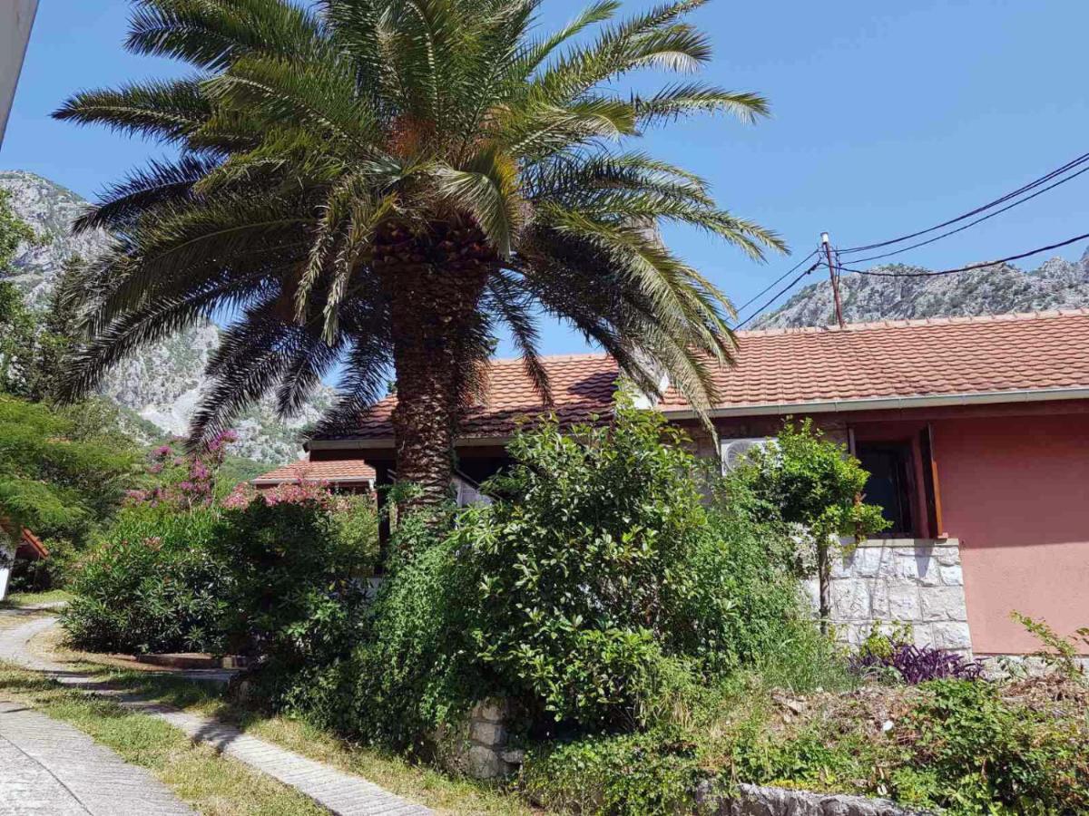 Palma Villa